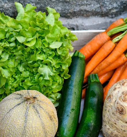 Paniers à fruits et légumes