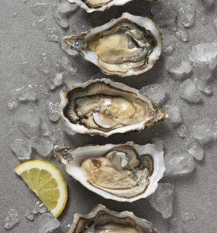 Paniers pour produits de la mer