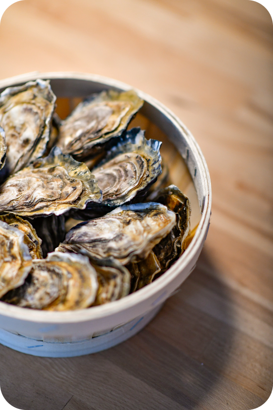 Panier à huîtres